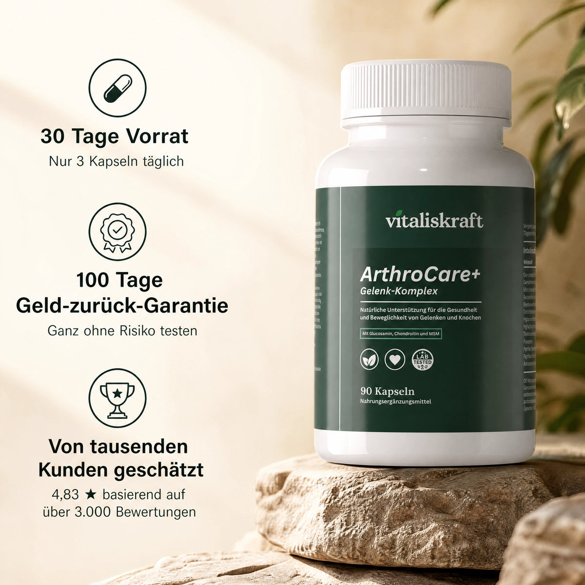 ArthroCare+ Gelenk-Komplex