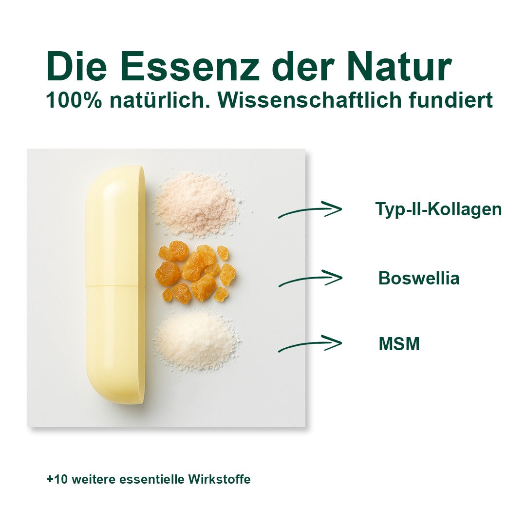 ArthroCare+ Gelenk-Komplex™